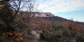 P1090285