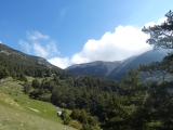 P1040332