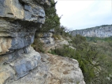 P1190511