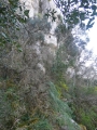 P1190862