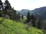 dscf9062