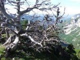 dscf9072