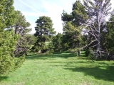 dscf9076