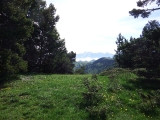 dscf9078