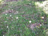 dscf9091