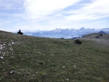 dscf9132