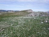 dscf9137