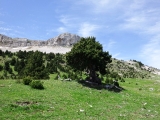 dscf9157