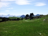 dscf9163
