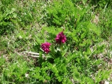 dscf9167