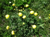 dscf9173