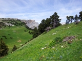 dscf9191