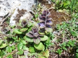 dscf9192