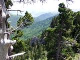 dscf9196