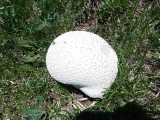 dscf9225