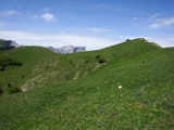 dscf9226