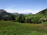 dscf9239