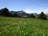 dscf9240