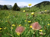 dscf9241