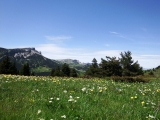 dscf9242