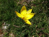 dscf9248