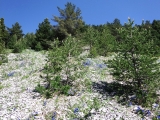 dscf9268