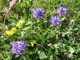 dscf9269