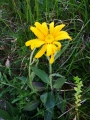 dscf9274