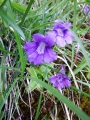 dscf9277