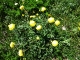 dscf9173