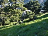 P1120339