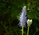 P1120405