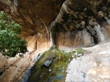 P1180827