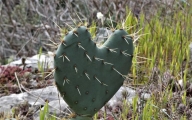 P1180841