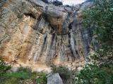 P1180853