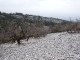 dscf6275