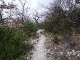 dscf6277