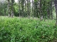 dscf9974