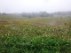 dscf9976