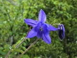 P1200734