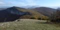 P1050984