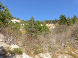 p1020098