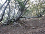 dscf1539