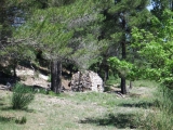 dscf7768