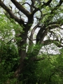 dscf7812