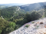 dscf7918