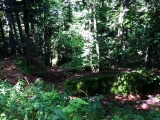 dscf1403