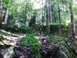 dscf1407