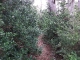 dscf6177