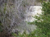 dscf3883